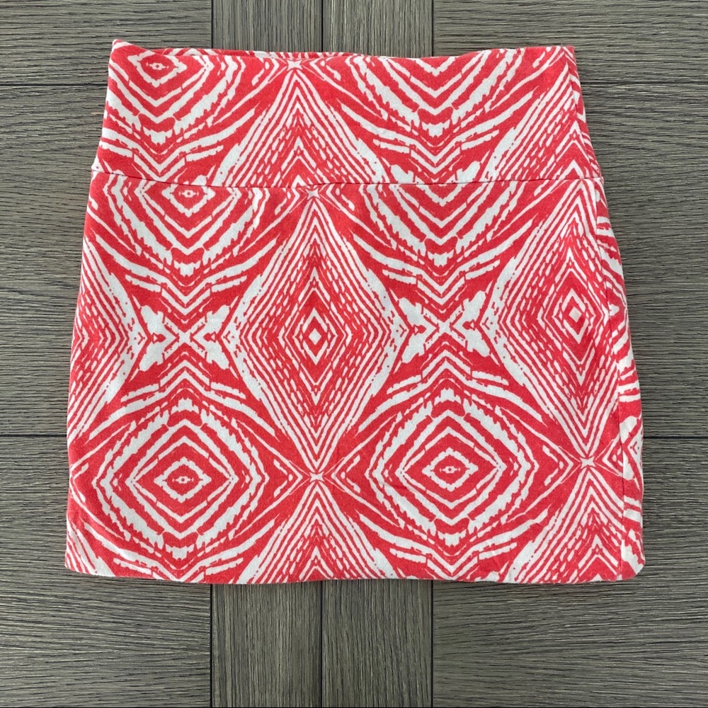 Francesca’s Stretchy Ikat Print Mini Skirt